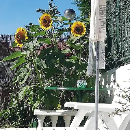 Duplex Con Vistas Al Mar Girasoles Apartament *