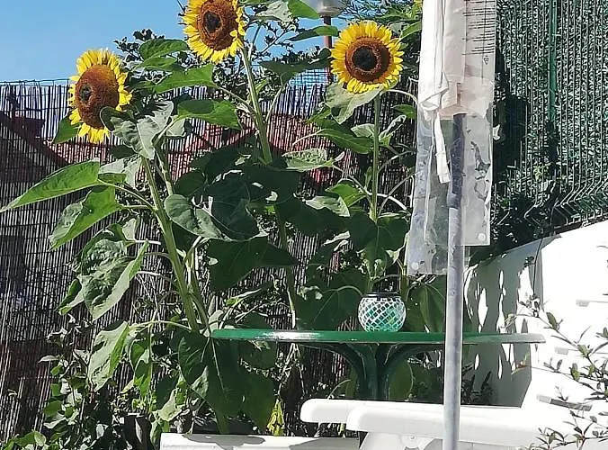 Duplex Con Vistas Al Mar Girasoles Apartment *